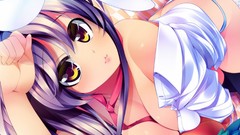 Tie anime girls yellow eyes touhou animal ears purple hair 