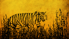 Tiger cubs Tigers Animals