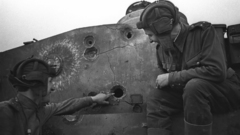 Tiger hole high Animals