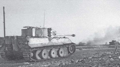 Tiger Russia Tigers high Resolution