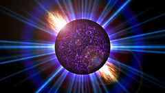 Tiger sun blue squirrel looking