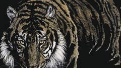 Tigers