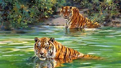 Tigers