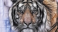 Tigers artwork