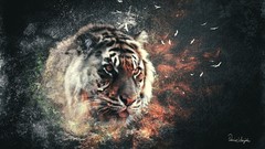 Tigers digital art