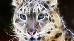 Tigers Fractalius