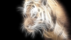 Tigers Fractalius