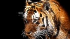 Tigers Fractalius