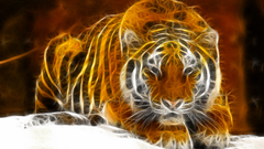 Tigers Fractalius