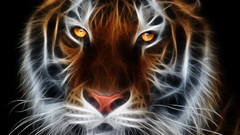 Tigers Fractalius