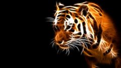 Tigers Fractalius Animals