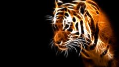 Tigers Fractalius black background