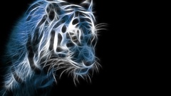 Tigers Fractalius light painting
