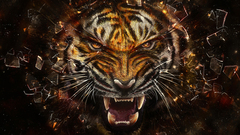 Tigers high some about tyga how Resolution