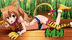 Tigers long hair anime girls brown eyes brunettes toradora 