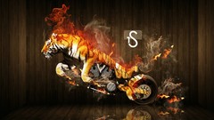 Tigers Photo manipulation motorbikes