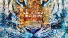 Tigers posters Life of Pi