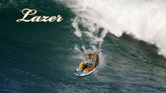 Tigers surfing