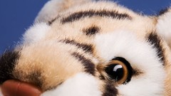 Tigers toys (children) stuffed