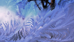 Tight aware high Art