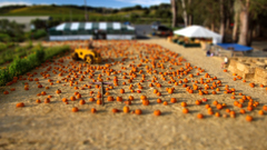 Tilt high shift keep going Resolution