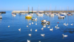 Tilt-shift