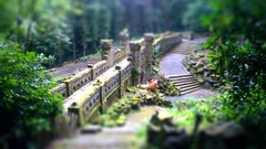 Tilt-shift