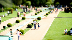 Tilt-shift