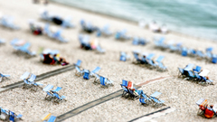 Tilt-shift Photo manipulation