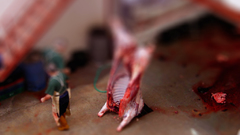 Tilt-shift tilt shift