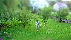 Tiltshift catch