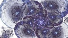 Time Another apophysis onethis cirling spirial largerhad