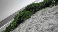 Time file upload attempt