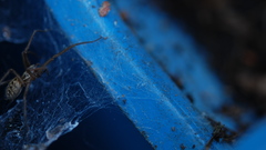 Time high dsc Resolution