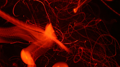 Time red black abstract