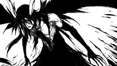 Time The ulquiorra