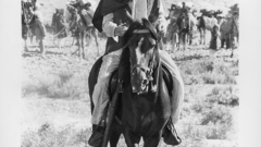 Timothy dalton Celebrity