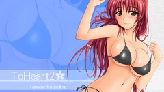 To heart 2 kousaka tamaki bikini huge boobs