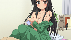 To love ru anime