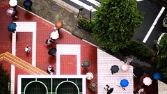 Tokyo Umbrellas national geographic streets cityscapes aerial 