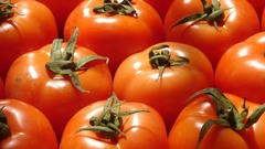 Tomatoes