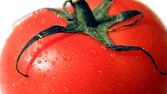 Tomatoes