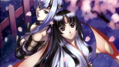 Tomoe miko Queens blade