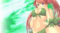 Tony taka leaves soft