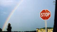 Took in Florida high