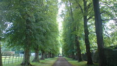 Took myself phoenix Park