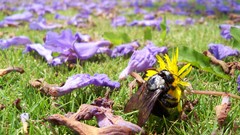 Took This myself high