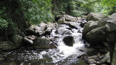 Took This personally hope