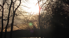 Took This Today high