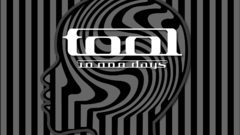 Tool music bands